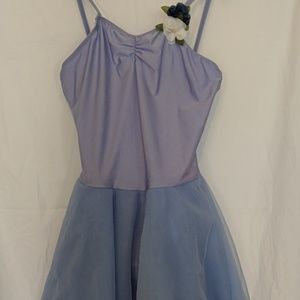 Periwinkle dance costume